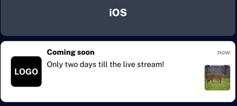 Aperçu des notifications